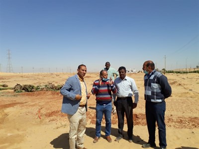 Aswan University leads a new experiment in agriculture